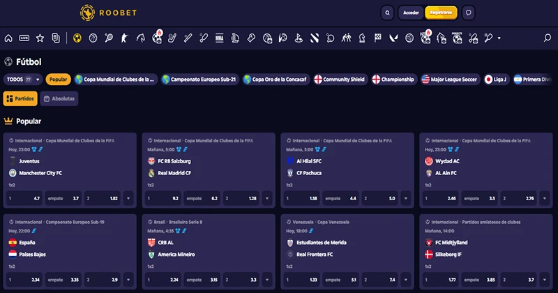 Interfaz de Roobet Casa de Apuestas